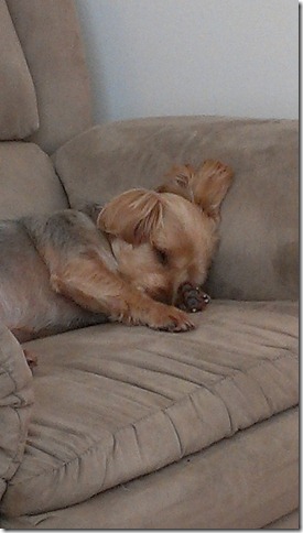 12-8E3A8D64-859887-1280-100