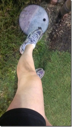 12-8FC51F80-2008796-1280-100