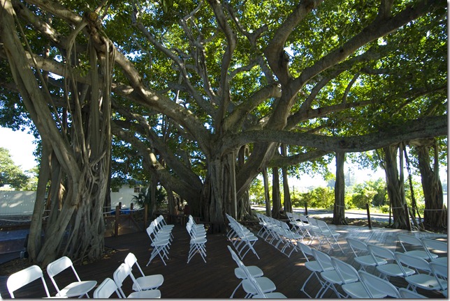 MathisHatcherWedding022