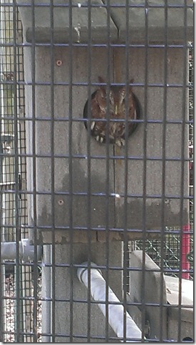 2013-02-02 11.41.42