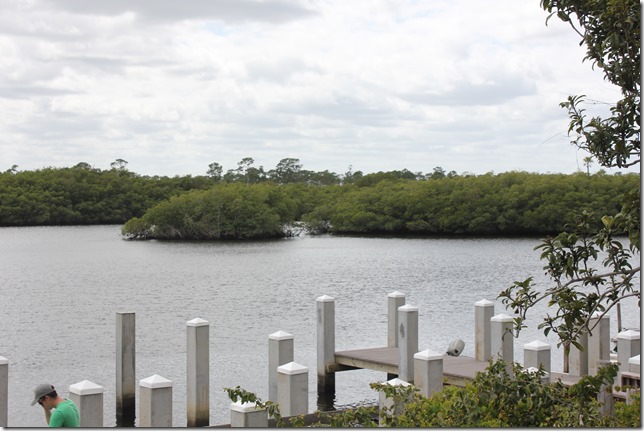 Johnathan Dickinson State Park (23)