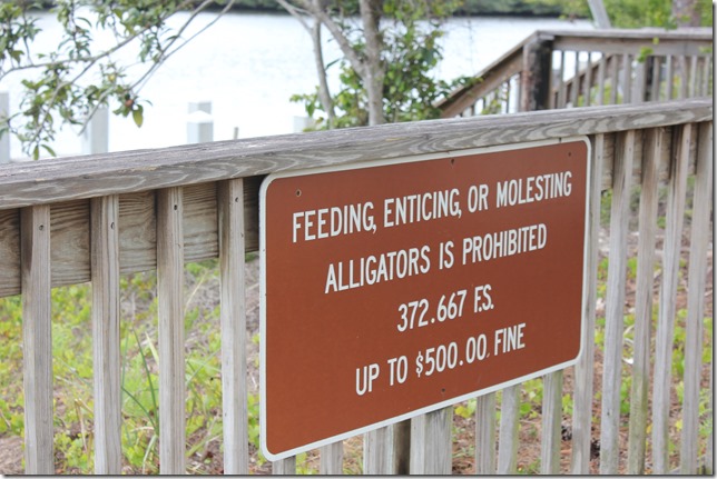 Johnathan Dickinson State Park (24)