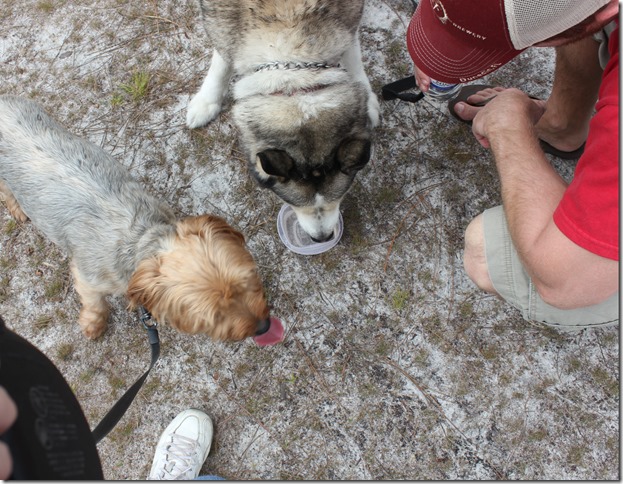 Johnathan Dickinson State Park (8)