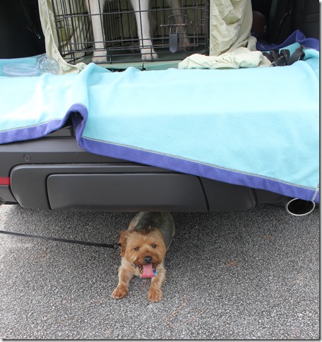 Johnathan Dickinson State Park (25)