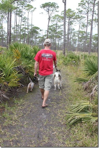 Johnathan Dickinson State Park (1)