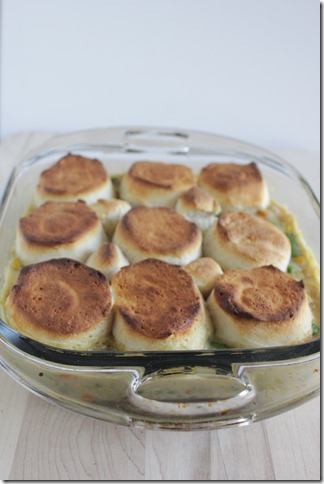 Whomp'em Pot Pie (4)