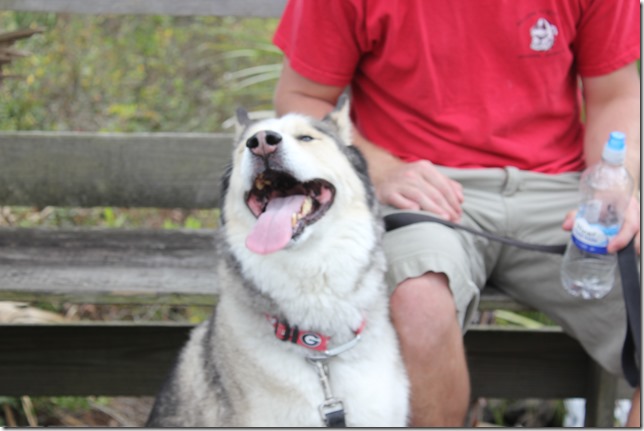 Johnathan Dickinson State Park (18)