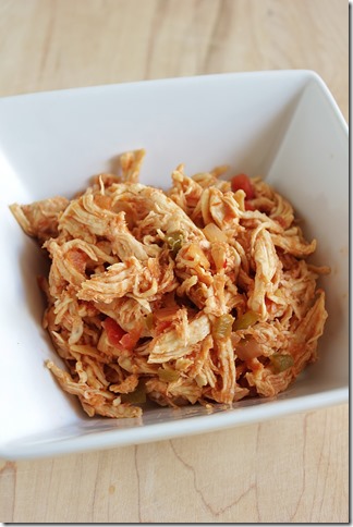 shredded chicken and salsa 2 ingredients