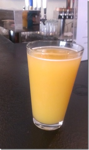 DAS Biergarten Dolphins Falcon Game (3)