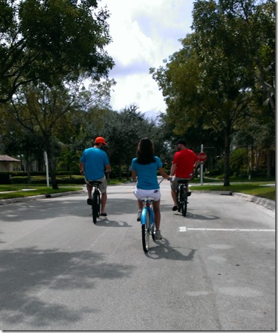 DAS Biergarten Dolphins Falcon Game (2)