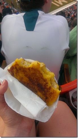 DAS Biergarten Dolphins Falcon Game (29)