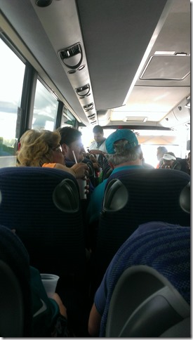 DAS Biergarten Dolphins Falcon Game (9)