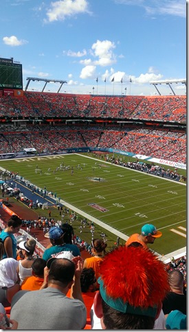 DAS Biergarten Dolphins Falcon Game (23)