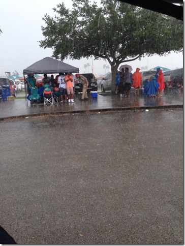 DAS Biergarten Dolphins Falcon Game (30)