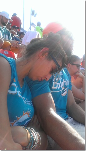 DAS Biergarten Dolphins Falcon Game (27)