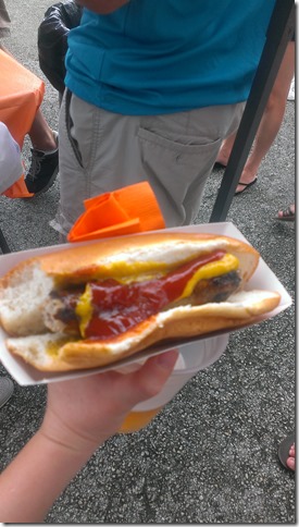 DAS Biergarten Dolphins Falcon Game (19)