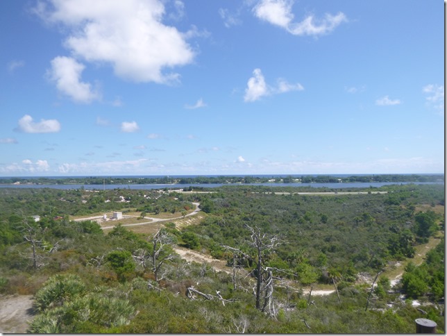 Johanthan Dickinson State Park (40)