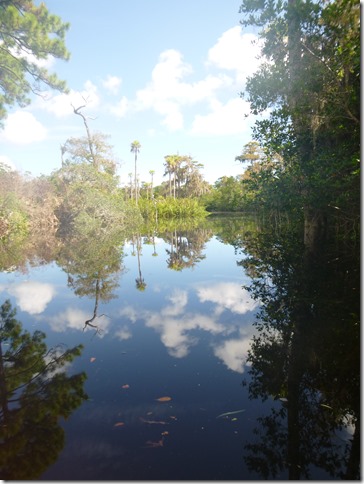 Johanthan Dickinson State Park (20)