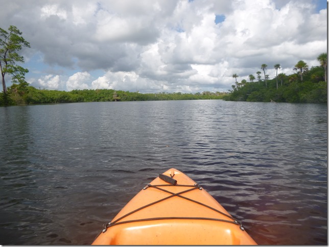 Johanthan Dickinson State Park (6)