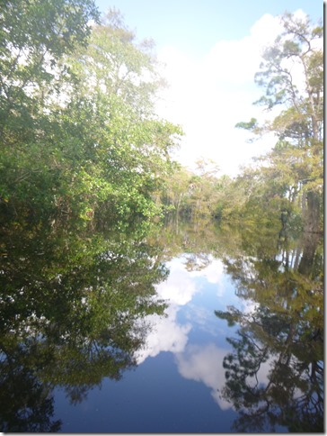 Johanthan Dickinson State Park (26)