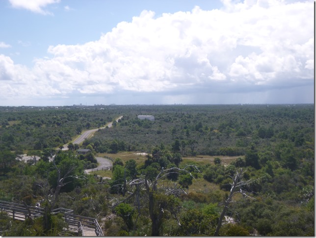 Johanthan Dickinson State Park (38)