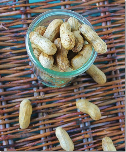 Beer and Cajun Boiled Peanuts (2)