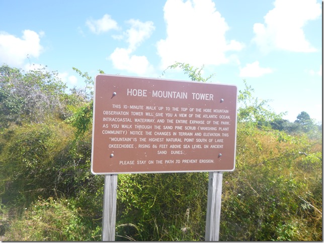 Johanthan Dickinson State Park (34)