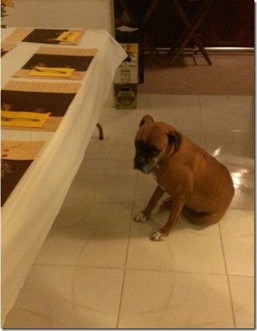 Friendsgiving 2013 (5)