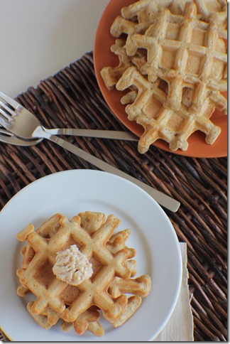 Gingerbread Waffles with Bison Brewing Gingerbread 