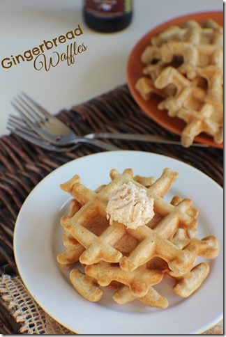 Gingerbread Waffle with Bison Brewing Co.