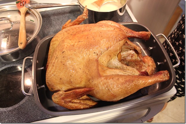 Thanksgiving Day 2013 (1)