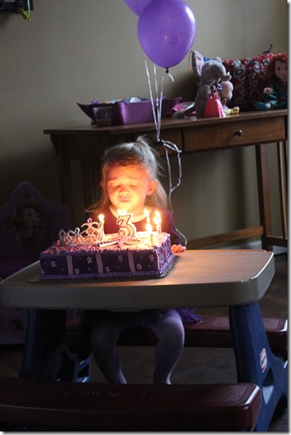 Mack's 3rd Birthday (49)