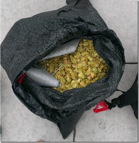 Jupiter Beer Fest Barley Dolls (2)