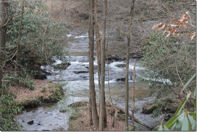 Life Food and Beer North Carolina  (39)