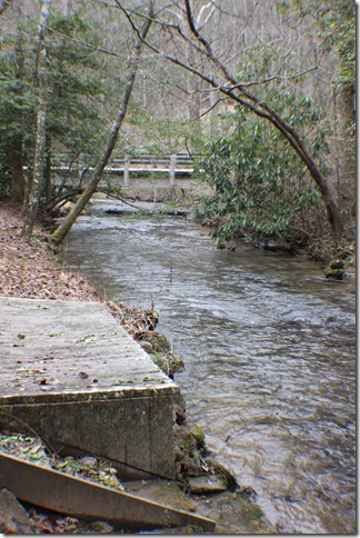 Life Food and Beer North Carolina  (15)