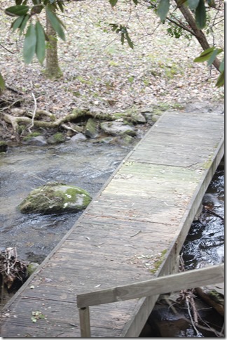 Life Food and Beer North Carolina  (29)