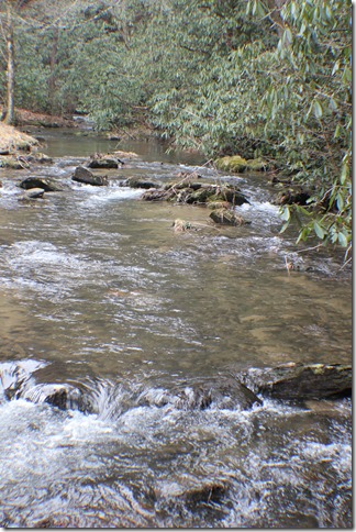 Life Food and Beer North Carolina  (11)