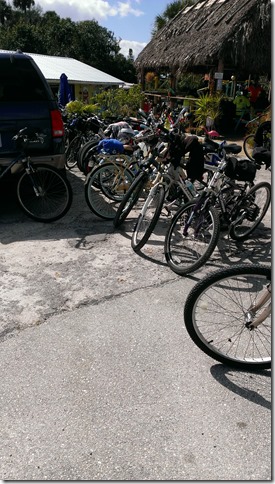 Gator Hole Lake Okeechobee (1)