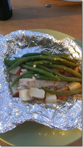 Red Snapper Fish Packets (2)