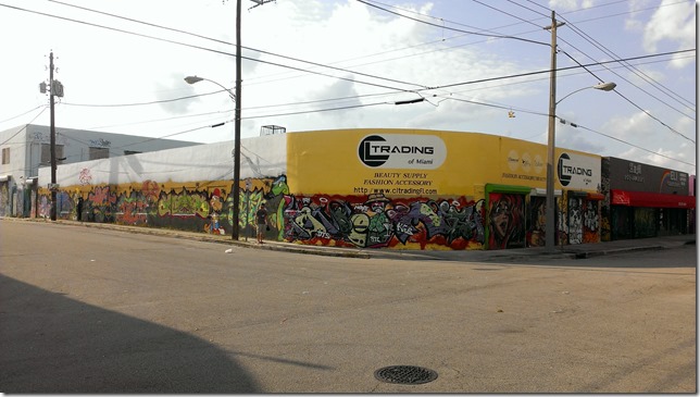 Wynwood Art District  (1)