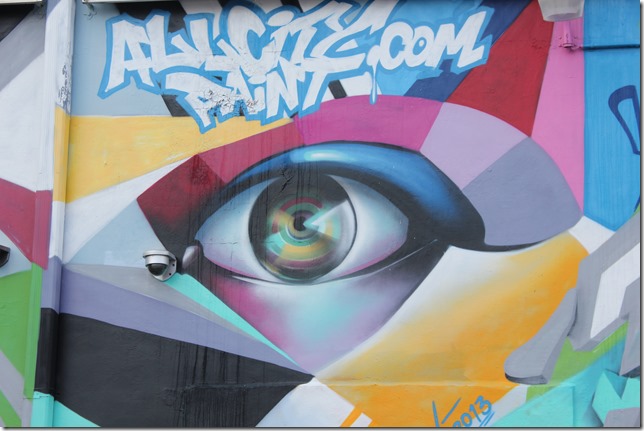 Wynwood Art District  (21)