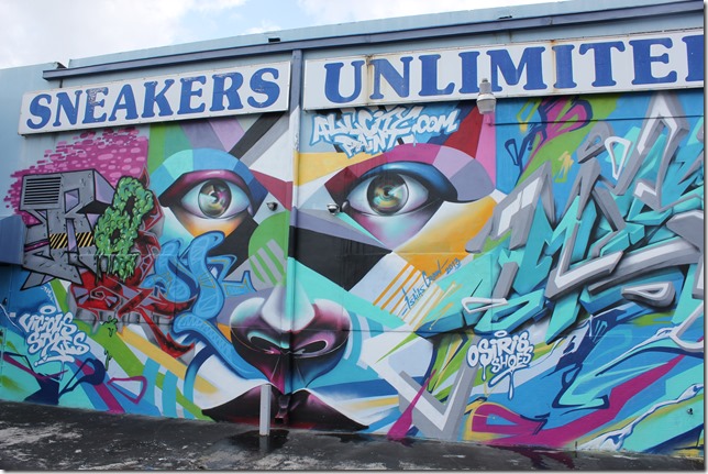 Wynwood Art District  (20)