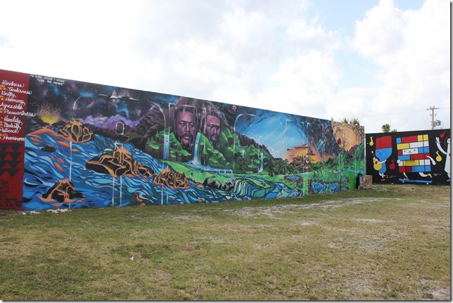 Wynwood Art District  (22)