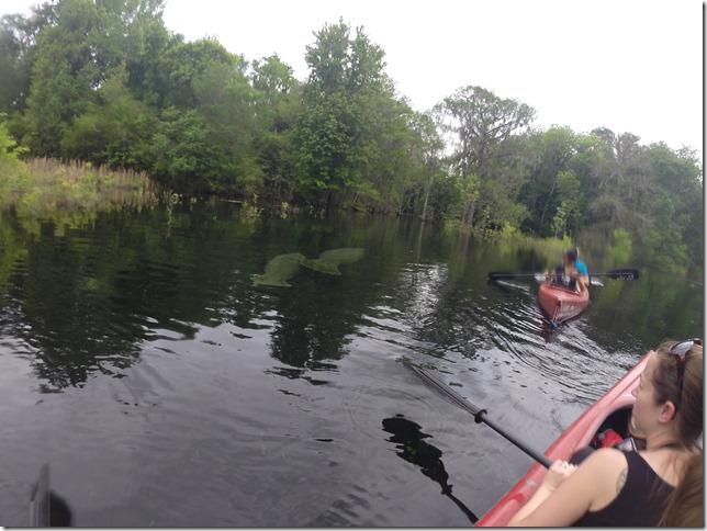 Ichetucknee Camping Trip 2014 (63)