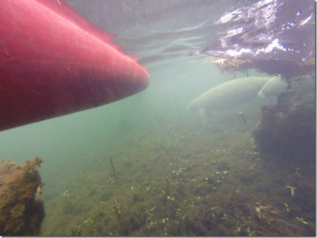 Ichetucknee Camping Trip 2014 (60)