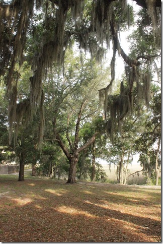 Jekyll Island Georgia (302)