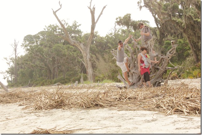 Jekyll Island GA Driftwood Beach (49)