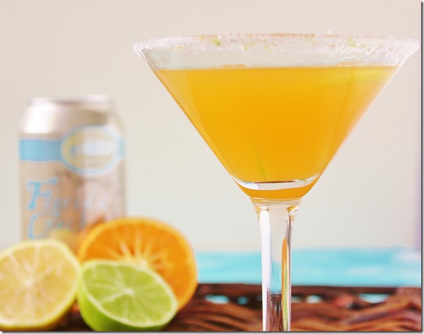 Beer Martini Florida Cracker  (2)