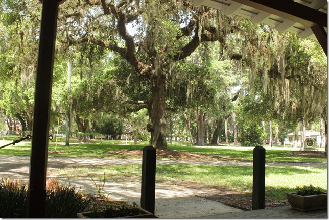 Jekyll Island Georgia (419)