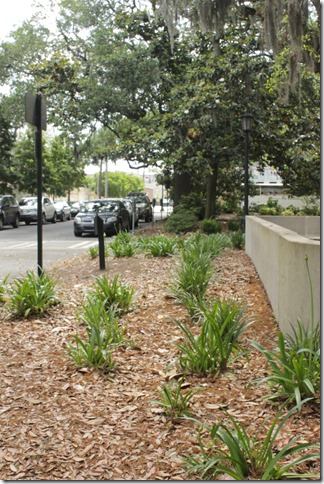 Historic District Savannah GA 2014 (25)